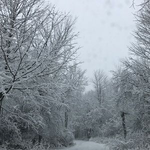 Meet your Posher, Alycia